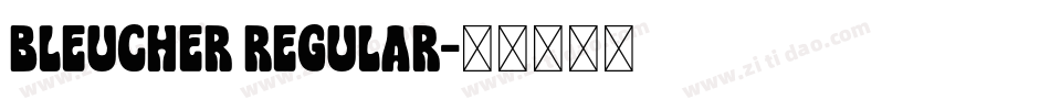 Bleucher Regular字体转换